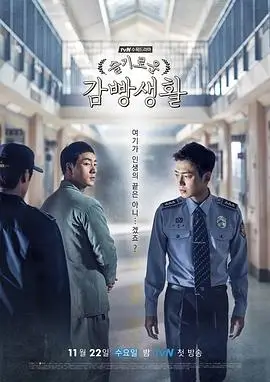 雾港回响 热播电视剧全集高清在线观看